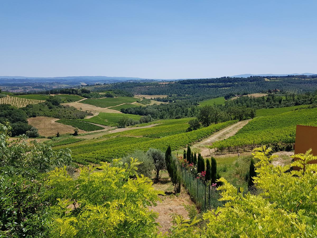 Il Leccio - Casa Toscana San Gimignano Gambassi Terme Eksteriør bilde